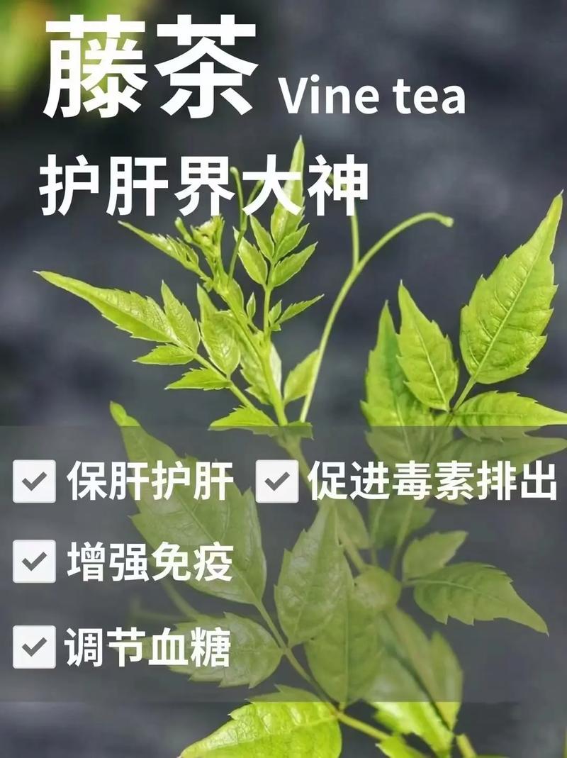 车辆抵押贷款在凤岗的优势与劣势分析(来凤车辆抵押贷款)